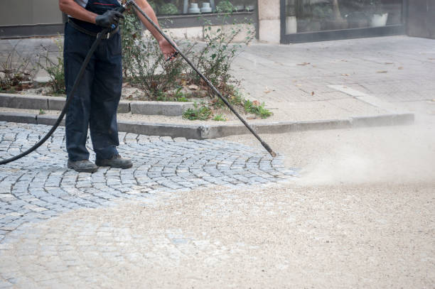 Best Winterizing Services  in Lehigh Acres, FL